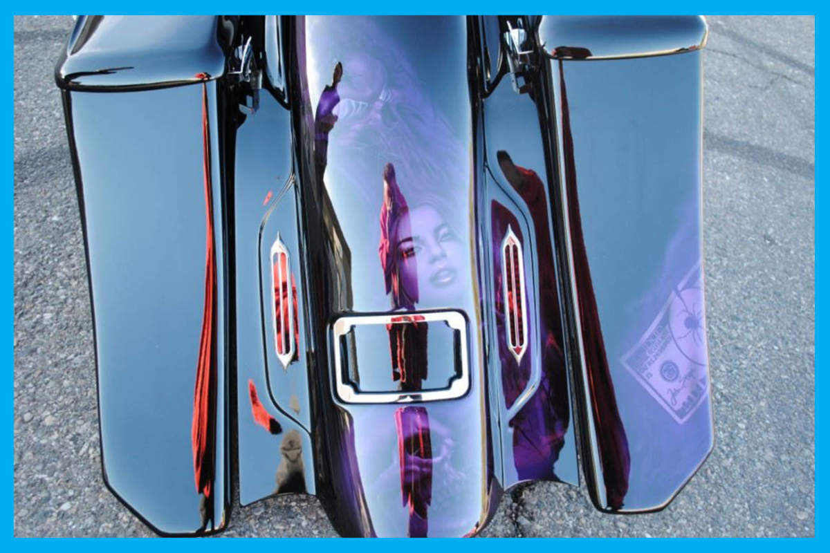 Dirty Bird Curved LED License Plate Frame