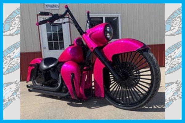 Dirty Bird Softail Leg Warmers 8″ with Custom Crash Bar 2001 To 2017