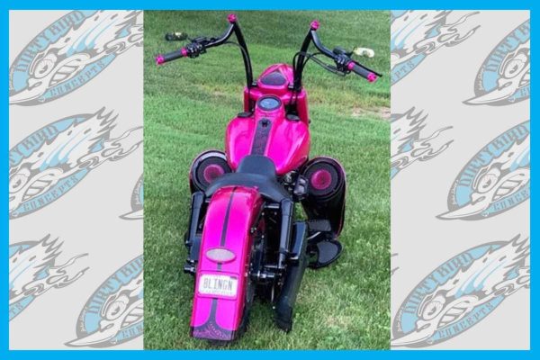Dirty Bird Softail Leg Warmers 8″ with Custom Crash Bar 2001 To 2017