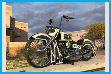 Dirty Bird Softail Coil Cover 2018 To 2024