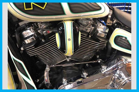 Dirty Bird Softail Coil Cover 2018 To 2024