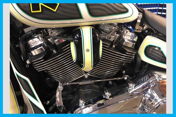 Dirty Bird Softail Coil Cover 2018 To 2024