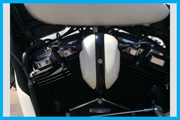 Dirty Bird Softail Coil Cover 2018 To 2024