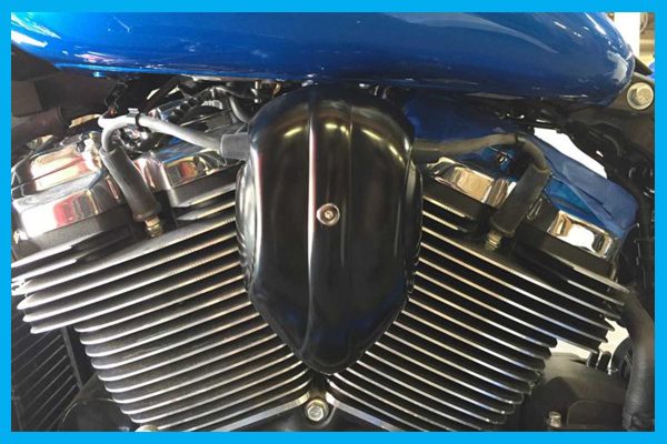 Dirty Bird Softail Coil Cover 2018 To 2024