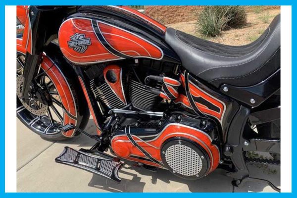 Dirty Bird Softail “Slick Shot” Oil Bag Cover 2006 To 2017