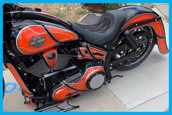 Dirty Bird Softail “Slick Shot” Oil Bag Cover 2006 To 2017