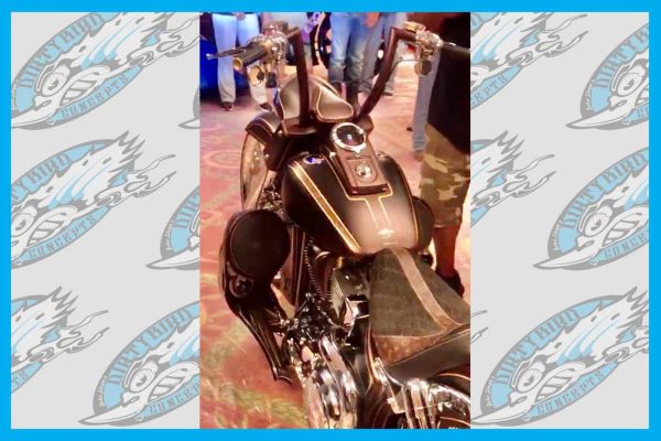 Dirty Bird Softail Leg Warmers 8″ with Custom Crash Bar 2001 To 2017