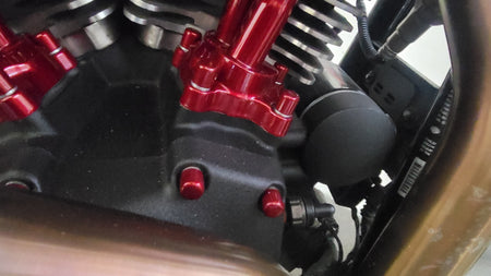 Magnetic Bolt Cover Kit