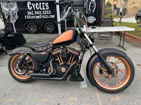 FOR SALE Award Wining Custom Bobber