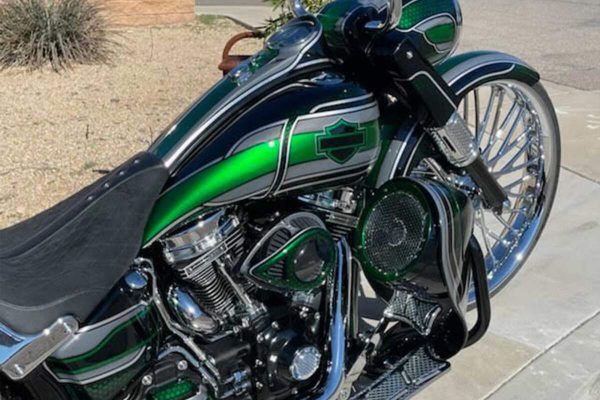 Dirty Bird Softail Leg Warmers 8″ with Custom Crash Bar 2001 To 2017