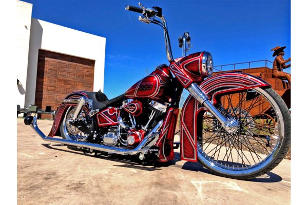Dirty Bird Softail “El Gringo” Chin Spoiler 2001 To 2017