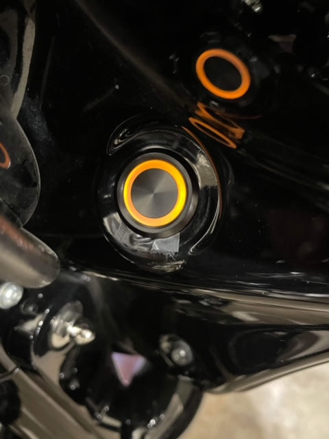 Garage Door Opener for HD Touring