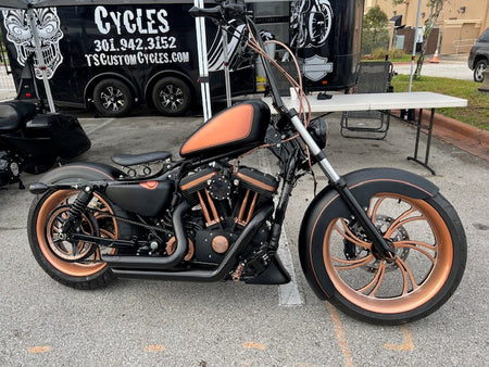 FOR SALE Award Wining Custom Bobber